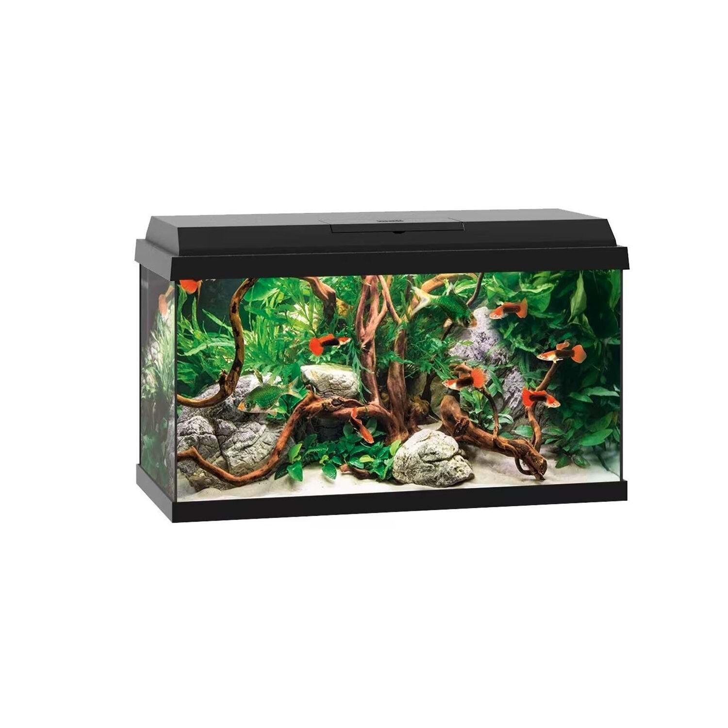 Juwel Akvaryum Komple Set Primo 70 2.0 Siyah 61X31X44cm 70 Lt