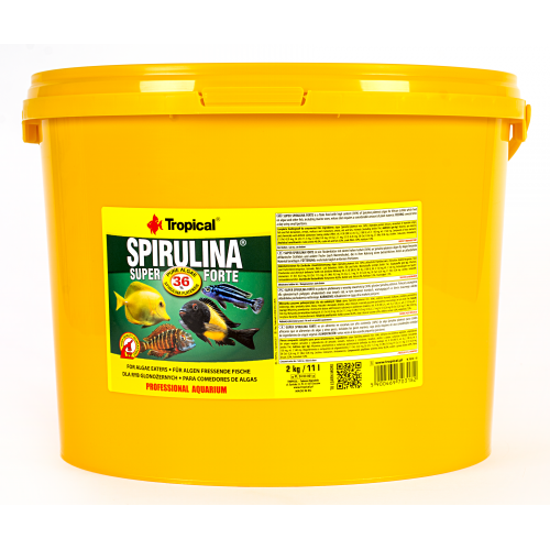 Tropical Super Spirulina Forte Flake 250gr (Açık)