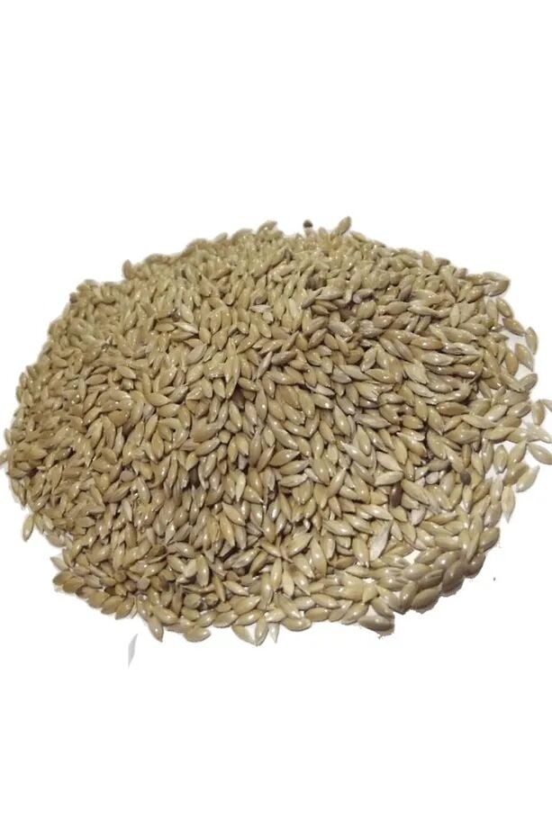 Vivid Aspur 1Kg. Açık