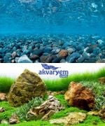 Sea View River Rock/Sea of Green 60*10cm