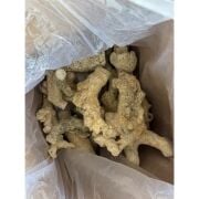 ZeoChem - Coral Rock - 10Kg - Branch Fiji Kayası