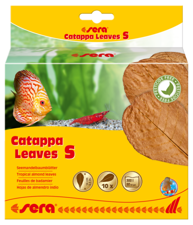 Sera Catappa Leaves 14cm S 1adet (Açık)