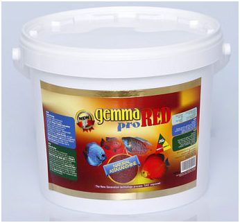 Gemma Pro Red 10Lt / 3200gr