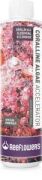 Reeflowers Coralline Algae Accelerator 250ml