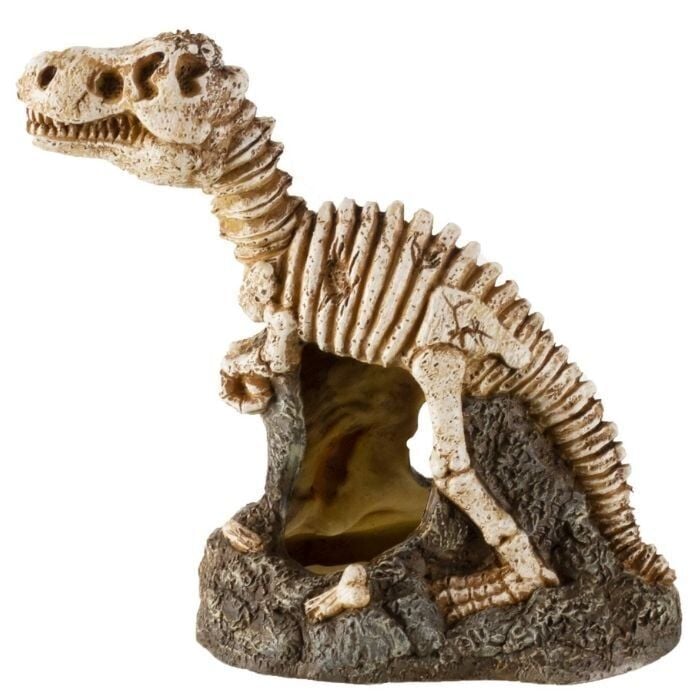 Chicos CH40214 Dinozor - Akvaryum Dekoru