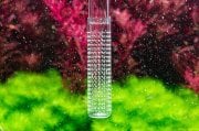 Aquario Neo Inlet Emiş Süzgeci  M 13mm