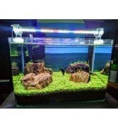 OrionLed BAR LED AYDINLATMA 4RENK 50CM