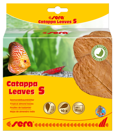 Sera Catappa Leaves 14cm S 10adet