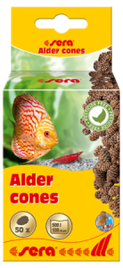 Sera Alder Cones Kızılağaç Kozalağı 50adet