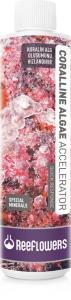 Reeflowers Coralline Algae Accelerator 500ml