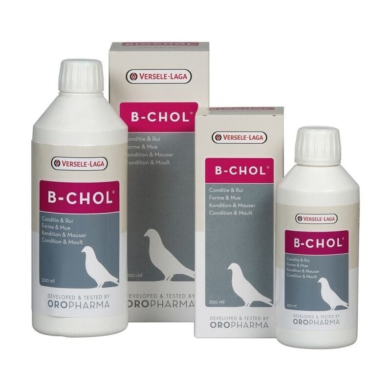 Versele Laga Oropharma B-Chol Güvercin (Karaciğer Sağlığı Koruyucu) 500ml