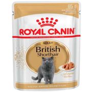 Royal Canin British Shorthair 85gr.