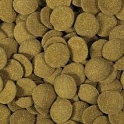 Hikari Tropical Algae Wafers 20gr.