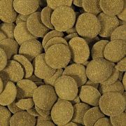 Hikari Tropical Algae Wafers 20gr.