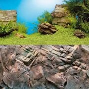 Juwel Poster1 Plant/Reef - XL Arka Fon 150*60cm