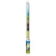 Juwel Poster1 Plant/Reef - XL Arka Fon 150*60cm