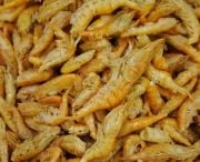Omega One Freeze Dried Shrimp(Kurutulmuş Karides) 100gr Açık