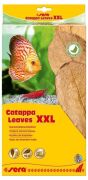 Sera Catappa Yaprağı XXL 32cm 10 Adet