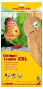 Sera Catappa Yaprağı XXL 32cm 10 Adet
