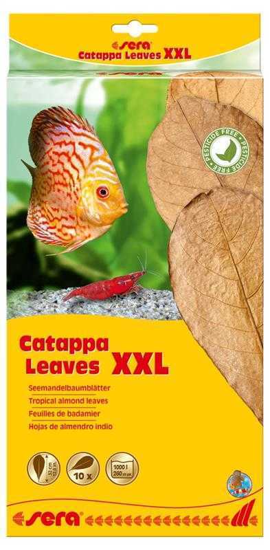 Sera Catappa Yaprağı XXL 32cm 10 Adet