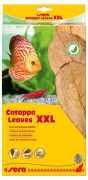 Sera Catappa Yaprağı XXL 32cm 10 Adet