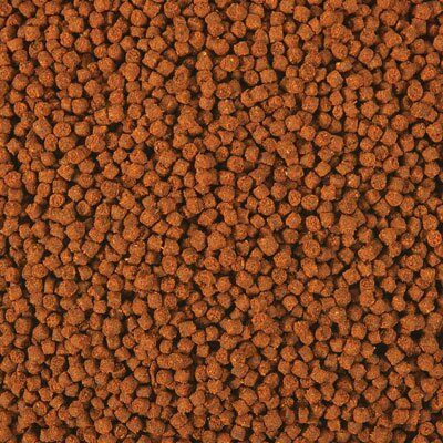 Omega One Cichlid Select Pellets 50gr Açık