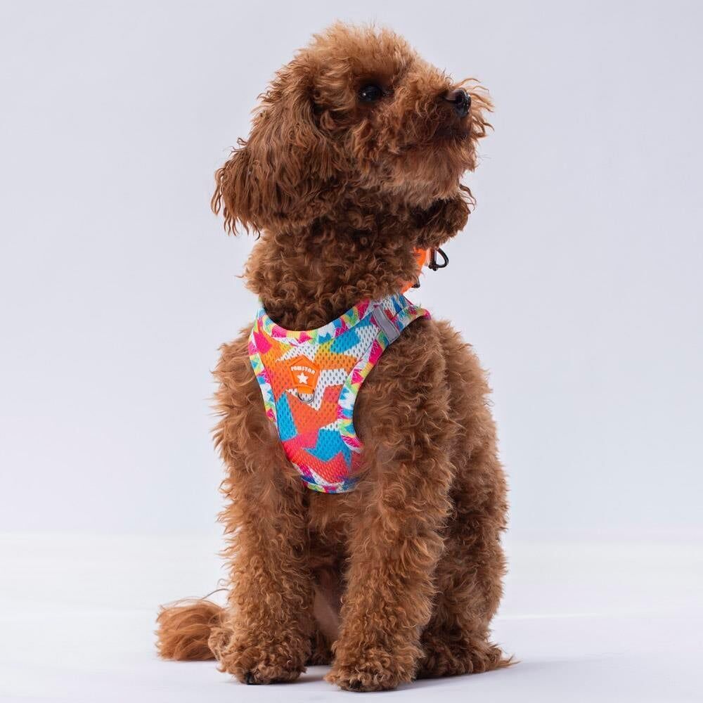 Pawstar Air-Mesh Mosaic Köpek Göğüs Tasması - L Beden