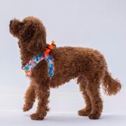Pawstar Air-Mesh Mosaic Köpek Göğüs Tasması - L Beden