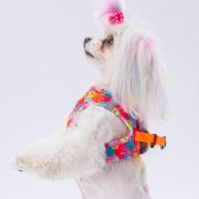 Pawstar Air-Mesh Monsters Köpek Göğüs Tasması M Beden