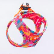 Pawstar Air-Mesh Monsters Köpek Göğüs Tasması M Beden