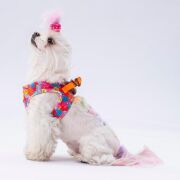 Pawstar Air-Mesh Monsters Köpek Göğüs Tasması XS Beden