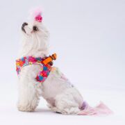 Pawstar Air-Mesh Monsters Köpek Göğüs Tasması S Beden