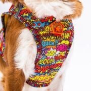 Pawstar Air-Mesh Wow Köpek Göğüs Tasması S Beden