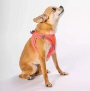 Pawstar Air-Mesh Neon Pembe Köpek Göğüs Tasması XS Beden