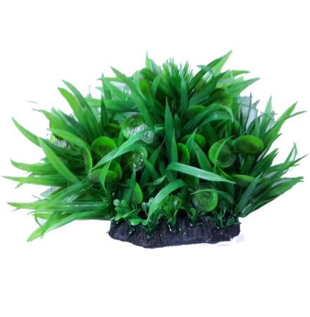 Water Plants 2322 Plastik Bitki