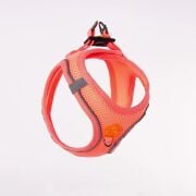 Pawstar Air-Mesh Neon Pembe Köpek Göğüs Tasması M Beden