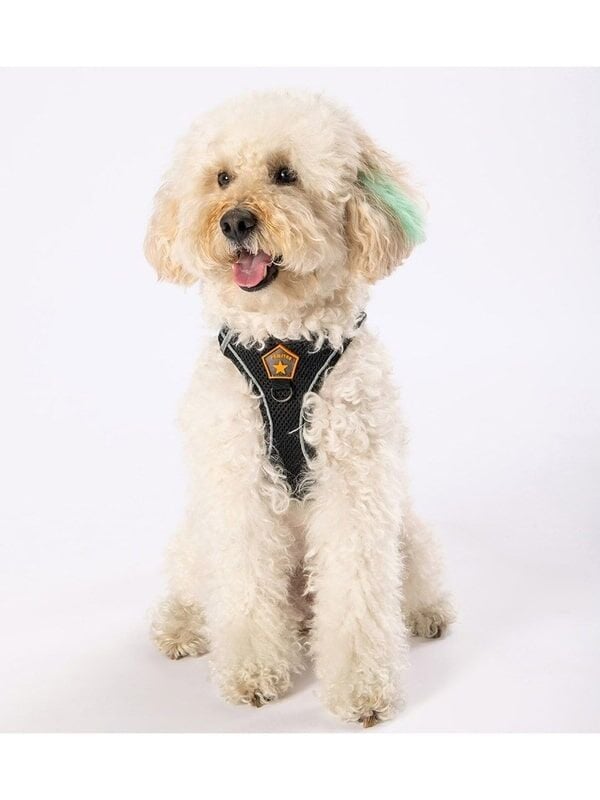 Pawstar Air-Mesh Siyah Köpek Göğüs Tasması XS Beden