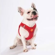 Pawstar Air-Mesh Kırmızı Köpek Göğüs Tasması 2XS Beden