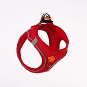 Pawstar Air-Mesh Kırmızı Köpek Göğüs Tasması M Beden