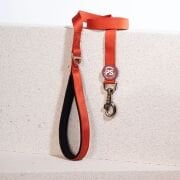 Pawstar Kiremit Köpek Gezdirme Kayışı 120 cm x 2 cm