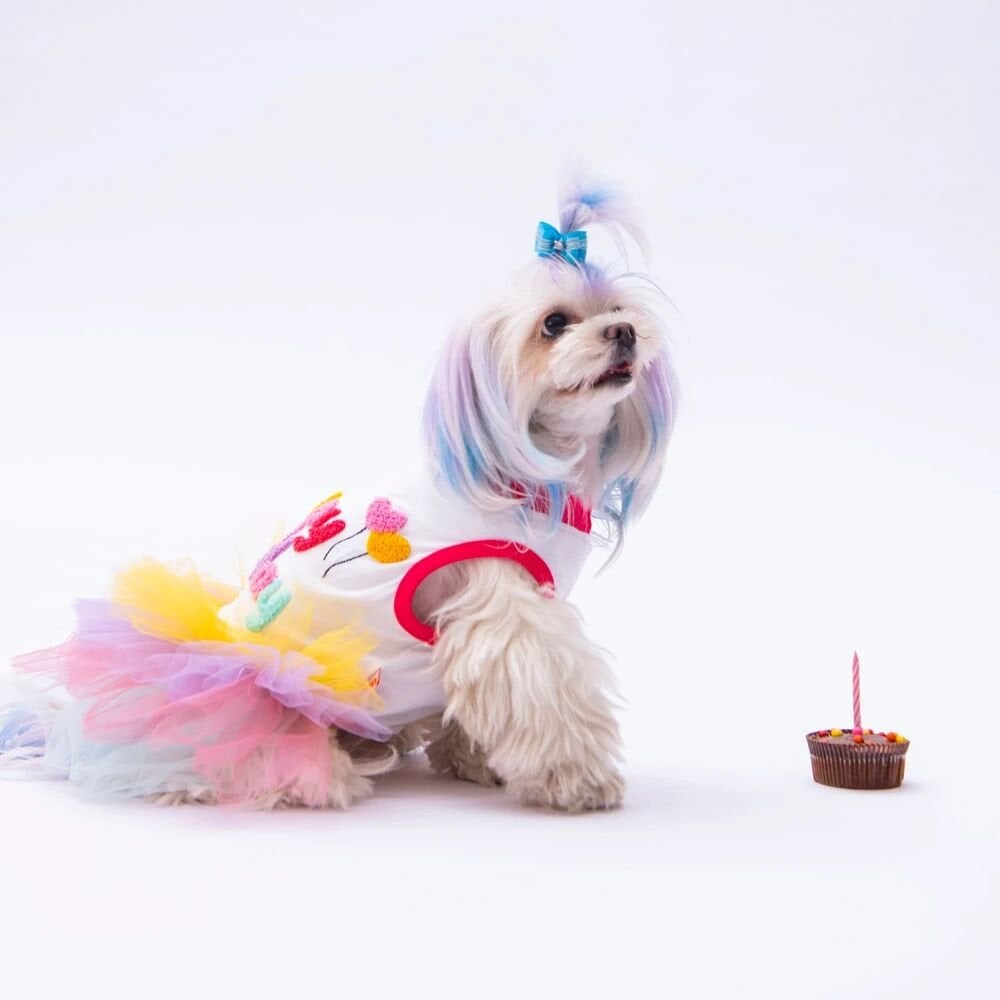 PawStar Happy Birthday Köpek Elbisesi S Beden