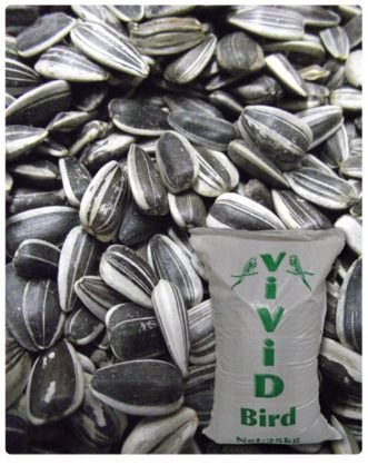 Vivid Küçük Çekirdek Tuzsuz 1Kg Praket