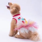 PawStar Happy Birthday Köpek Elbisesi XL Beden