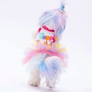 PawStar Happy Birthday Köpek Elbisesi 2XL Beden