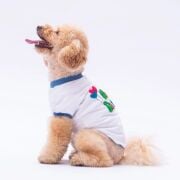 PawStar Happy Birthday Köpek Sweat M Beden