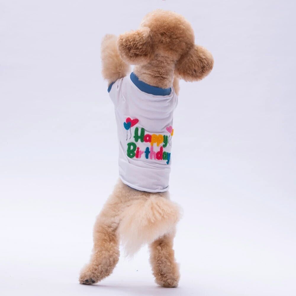 PawStar Happy Birthday Köpek Sweat XL Beden
