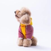 PawStar Sarı Rio Kapüşonlu Sweatshirt M Beden