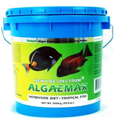 New Life Spectrum Algae Max 1mm 50gr Açık
