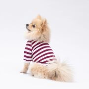 PawStar Mor Piglet Sweat XL Beden