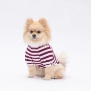 PawStar Mor Piglet Sweat XL Beden